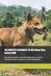 THE Independently Published THE COMPLETE VIETNAMESE LÀI DOG (Dingo Đông Dương) GUIDE: 500 Expert Answers, Expanded Explanations, and the Definitive Guide to Vietnam's Ancient Dingo Breed Paperback