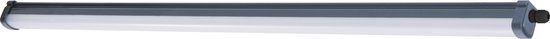 Philips LED Philips ProjectLine Waterproof buislamp - 3400lm - Koelwit licht