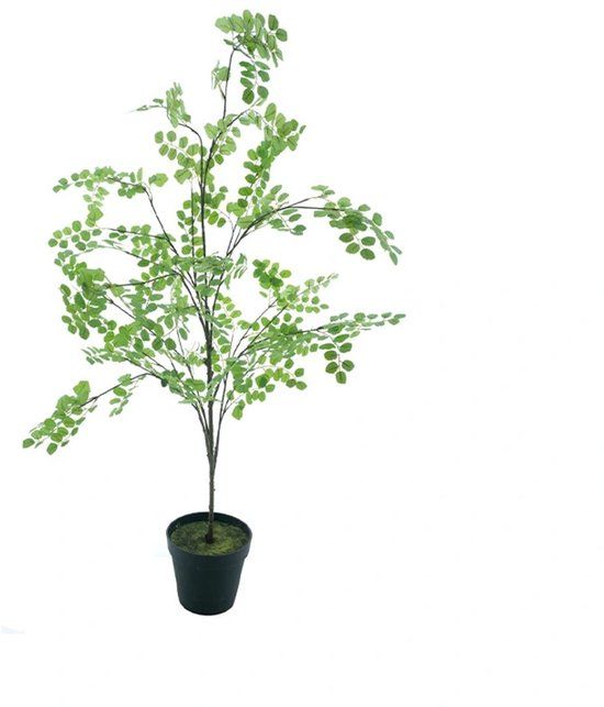 Buitengewoon Boet Kunstplant Button Leaf Tree in Pot - 175 cm