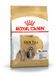 Royal Canin Shih Tzu Adult - 3 kg - Hondenvoer