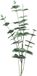 Bellatio Design Kunstplant takken Eucalyptus Cinera - 90 cm