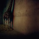 Konkurrent Alien Ensemble Alien Ensemble 2 (LP)
