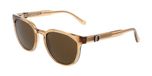 Ferragamo SF2059SE Sable transparent 53/20/145 Lunettes de soleil homme