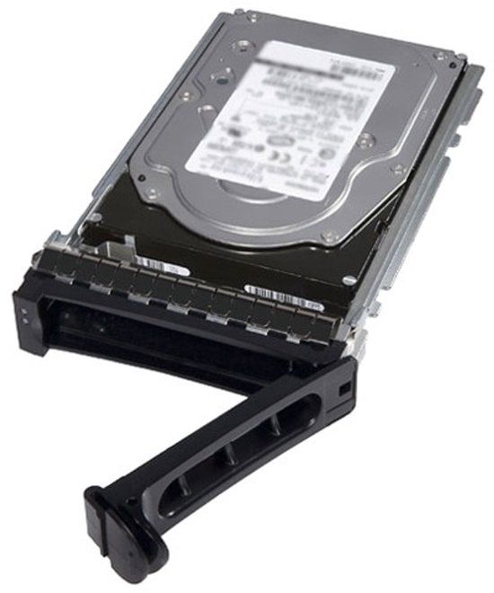 DELL 161-BCLH interne harde schijf 2.5" 2,4 TB SAS