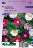 Sluis Garden Klimmende Winde Choice Mixed (Ipomoea)