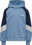 hummel hmlJR LOOSE BLOCKED HOODIE