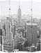 vidaXL Kamerscherm New York bij daglicht 160x170 cm zwart en wit