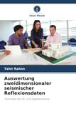 Auswertung zweidimensionaler seismischer Reflexionsdaten: Techniken der Öl- und Gaserkundung