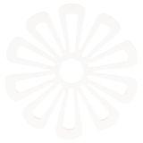 Set van 6 onderzetters bloem PVC Ø16cm wit