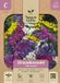 Baltus Lamsoor Statice mengsel bloemenzaad Nature Gifts
