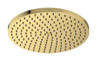 Hansgrohe Raindance S Hoofddouche, diameter 24 cm, EcoSmart, gepolijste goudlook