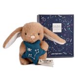 Astro Doudou Poissons