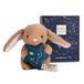 Astro Doudou Poissons