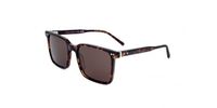 Tommy Hilfiger TH 2072/S Havana Zonnebrillen Mannen