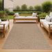 Tapis d'aspect jute pour intérieur et extérieur, couleur beige, dimensions : 240 x 340 cm