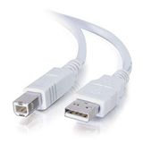 Cables To Go USB 2.0 A male to B male kabel, 16.4 Feet/ 5 Meters, wit, 1