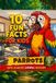 Parrots: Libri GmbH Laugh While Learning- Parrots Paperback