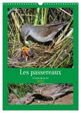 Les Calvendo Les passereaux à l'orée de la vie (Calendrier mural 2027 DIN A3 horizontal)