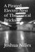 A Pirated Electro-Nest of Theoretical Bricks