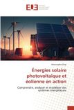 Énergies OmniScriptum SRL Énergies solaire photovoltaïque et éolienne en action