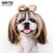 Magnet & Steel Shih Tzu Kalender 2025 Wandkalender