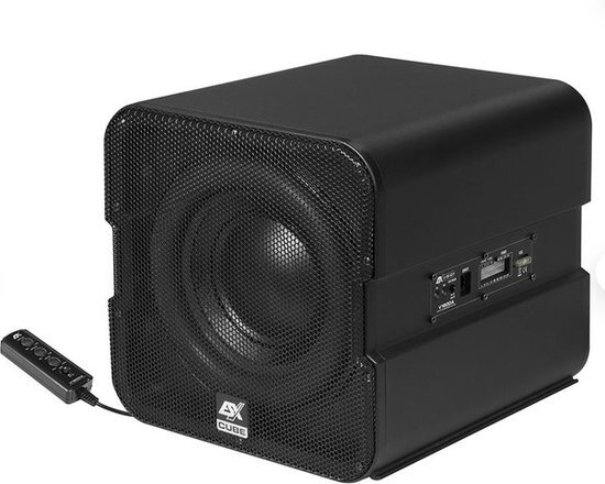 ESX V1600A - actieve subwoofer - 20 cm