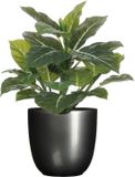 Mica Decorations Kunstplant Philodendron - vert - 49 cm - in bloempot - antraciet