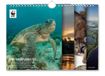Bekking & Blitz FamiliePlanner WNF Kalender 2027