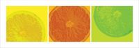 Pyramid Citrus Kunstdruk 33x95cm