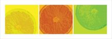 Pyramid Citrus Kunstdruk 33x95cm