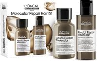 L'Oréal Professionnel Absolut Repair Molecular Hair Repair Discovery Duo Set
