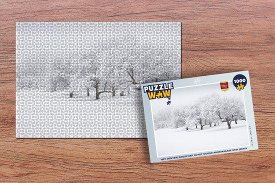 MuchoWow Puzzel Het winterlandschap in het Noord-Amerikaanse New Jersey - Legpuzzel - Puzzel 1000 stukjes volwassenen - Sinterklaas cadeautjes - Sinterklaas voor grote kinderen