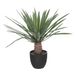 Atmosphera Kunstplant Rivi - Plante avec pot - Ø50x52cm - Vert
