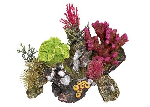 Nobby Koraalsteen met planten Aquarium Ornamenten, 17 x 12,5 x 12 cm