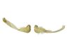 Decoris Vogel foam l4b15h5 cm lichtgoud a2 2st kerst