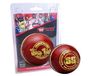 Ss True Test Cricket Ball-Pack van 6