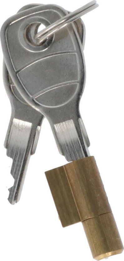 Carpoint Steekslot voor Kogelkoppeling met 2 Sleutels