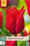 Jub Tulipa pretty woman 7st JUB