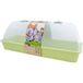 Siena Garden Maxi-Grow kamerbroeikas 54 x 20 x 21,5 cm pastelgroen