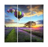 Homemania Ballonfoto, 3-delig, natuur en landschappen per woonkamer, kinderkamer, meerkleurig, 69 x 3 x 50 cm, HM203PKNV-50, polyester, hout