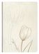 Clairefontaine 813066C - Notitieboek met Tulp/Natuur/Bloemenillustratie - A5 - 64 Pagina's met Puntjes - Ivoorpapier 90g - Tulip Paper Collectie