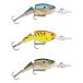 Rapala Crankbait Articulé Shad Rap 8g 50 mm