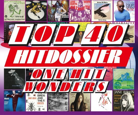 - Top 40 Hitdossier - One Hit Wo