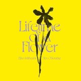 Lifetime Eiko Ishibashi - Lifetime of a Flower