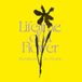 Lifetime Eiko Ishibashi - Lifetime of a Flower