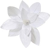 Everlands Poinsettia pesfluweel d30h15 cm wit