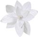 Everlands Poinsettia pesfluweel d30h15 cm wit