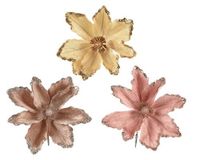 Everlands Bloem polyester d23h11 cm a3