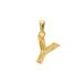 Lucardi Dames 14 karaat geelgouden letterhanger 'Y'