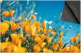 Dietrix Inductie Beschermer - 81x52cm - Bloemen en Planten - Gele bloemetjes